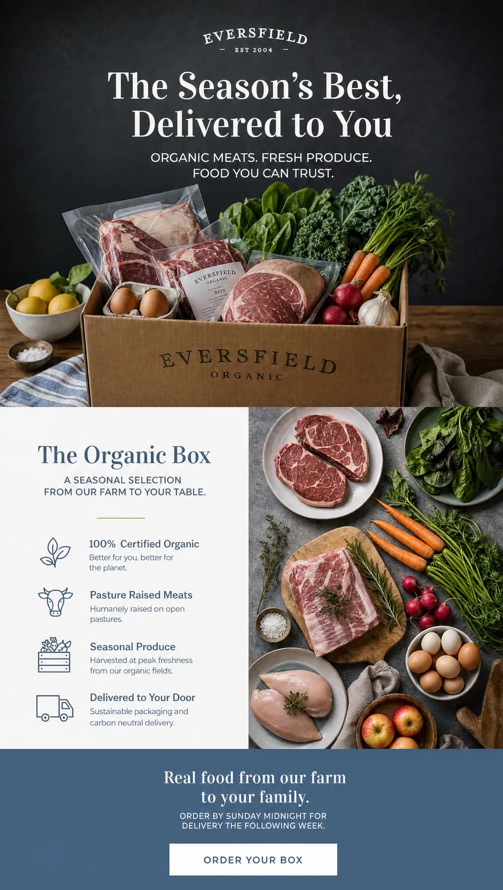 Organic food email design for Eversfield Organic - Klaviyo campaign creative