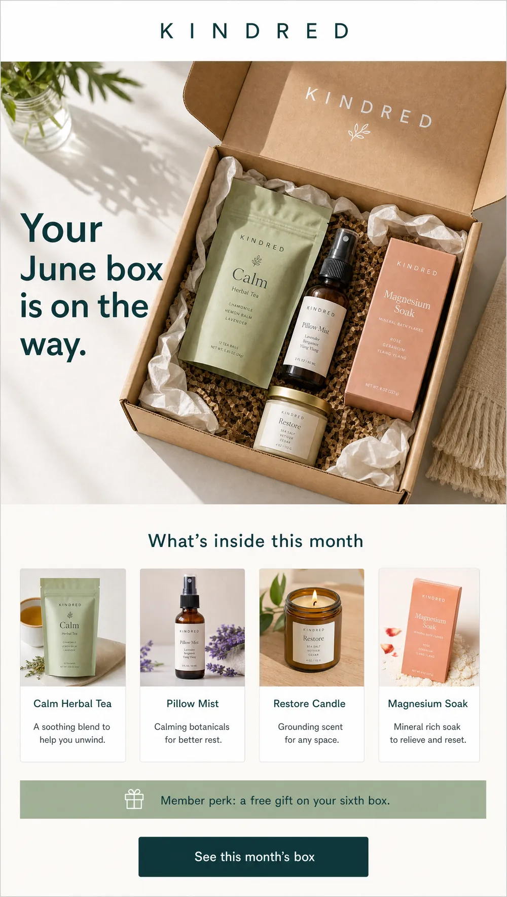Monthly box email design for a DTC subscription brand